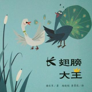 《小天鹅王子学艺 上》