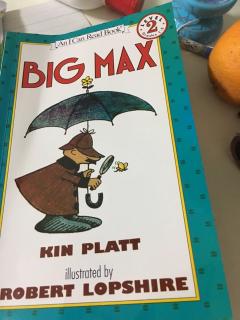 big Max(2)