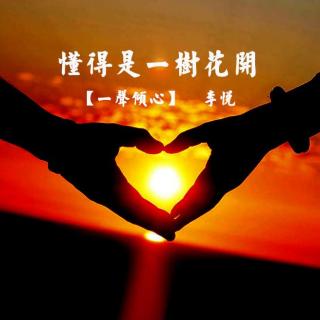 【一声倾心】懂得是一树花开