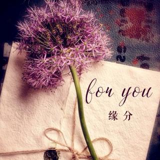 《缘分》苏叔阳