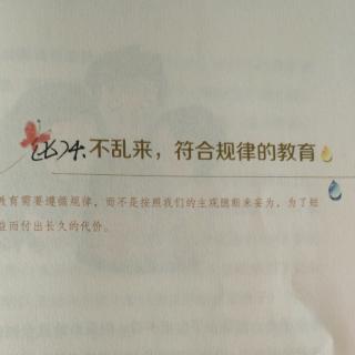 （七）4、不乱来，符合规律的教育