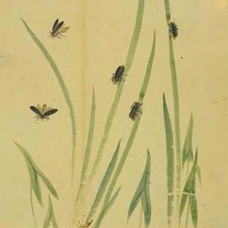 《诗经·周南·卷耳》