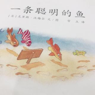 一条聪明的鱼