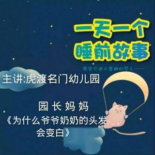 【故事492】晚安绘本故事《为什么爷爷奶奶的头发会变白》