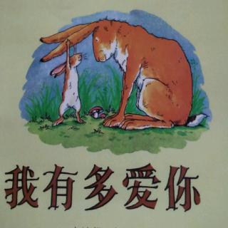 《猜猜我有多爱你》