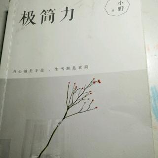 《极简力》  物质极简