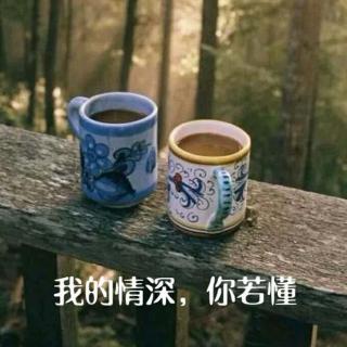 我的情深，你若懂