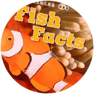 20190424《fish facts》培生幼儿英语第一辑