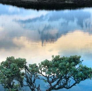 《岳阳楼记》  范仲淹