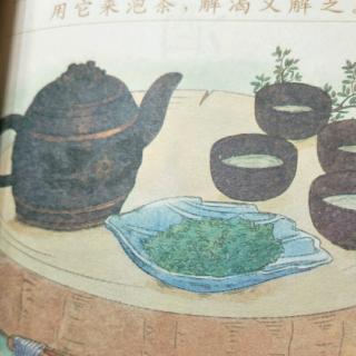 中国汉字故事器具篇-21.茶