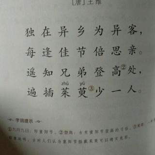 我们一起读诗~九月九日忆山东兄弟