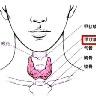 甲状腺的核素检查安全吗？