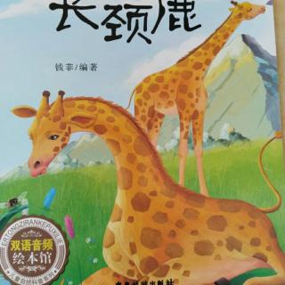 绘本故事《恐高的长颈鹿》