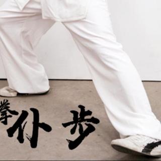 陈氏太极拳实用拳法之步形——仆步