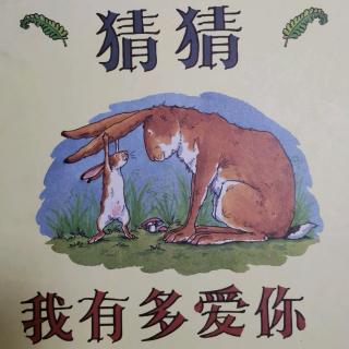 猜猜我有多爱你