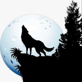 小狼和月亮