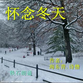 《怀念冬天》作者：海东青.诗僧 ；铁石朗诵