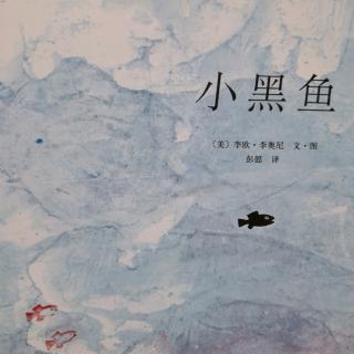 小黑鱼