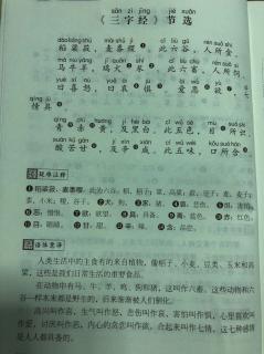 小学生文言文《三字经》节选