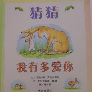 《猜猜我有多爱你》