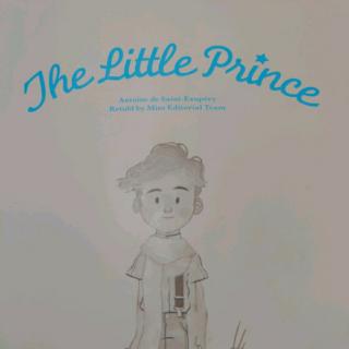 The Liitle Prince  11