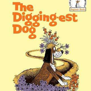 2019.04.28-The Digging-est Dog