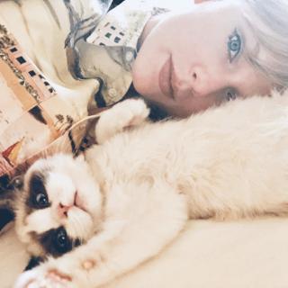 4.28Taylor Swift and Cats🐱