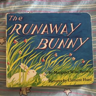 The Runaway Bunny