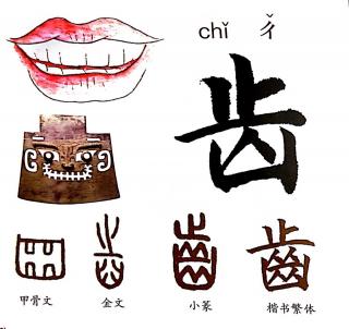 认识汉字：齿