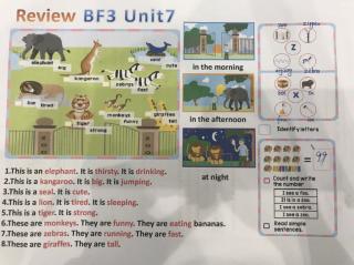 BF3-U7-Review