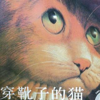 穿靴子的猫-毛毛姐姐