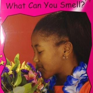 蓝箱红火箭——what can you smell
