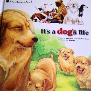 《It's a dog's life》