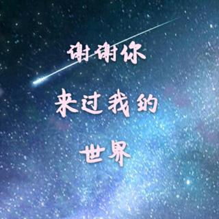 谢谢你来过我的世界