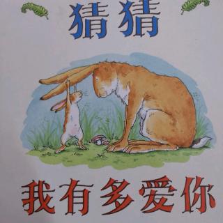 果果B班李旻佑—《猜猜我有多爱你》