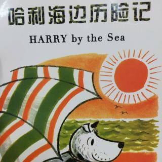 哈利海边历险记-毛毛姐姐