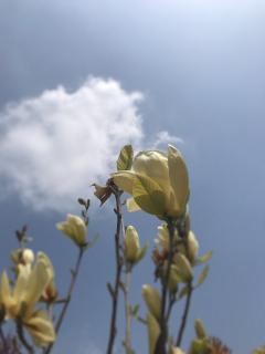 丁雪萍 朗读《孩子因你而来，不是为你而来》