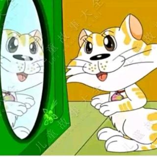 镜子里的小花猫