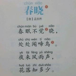 春晓~孟浩然~朵蕾读古诗