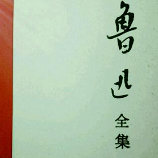 《阿Q正传》第九章  大团圆