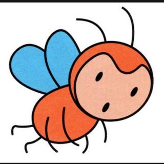 24,为什么小飞虫喜欢在灯光下飞来飞去