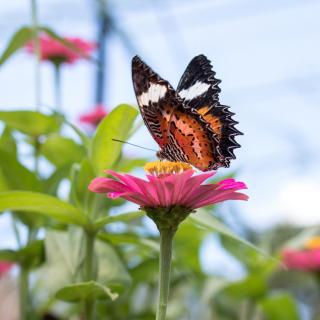 美国留学专场之生物学专业概况