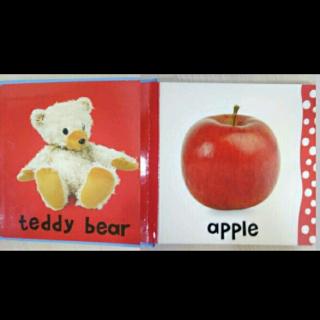 Words(teddy bear, apple)