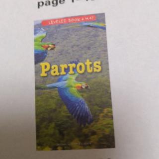 Parrots