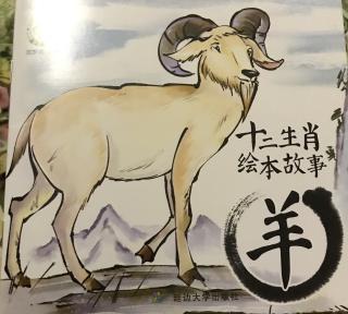 十二生肖绘本故事——羊🐑