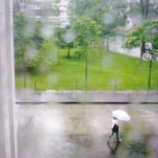 《窗外的天气》作者：姚谦