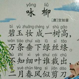 阅读古诗《咏柳》