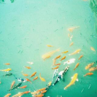 帝国的崛起:古希腊