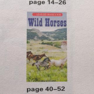 Wild Horses