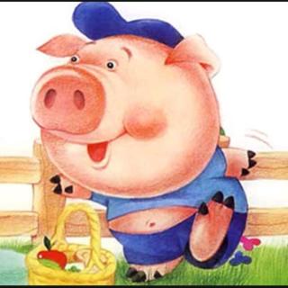 【故事334】供销幼儿园晚安故事《爱磨蹭的小胖猪》